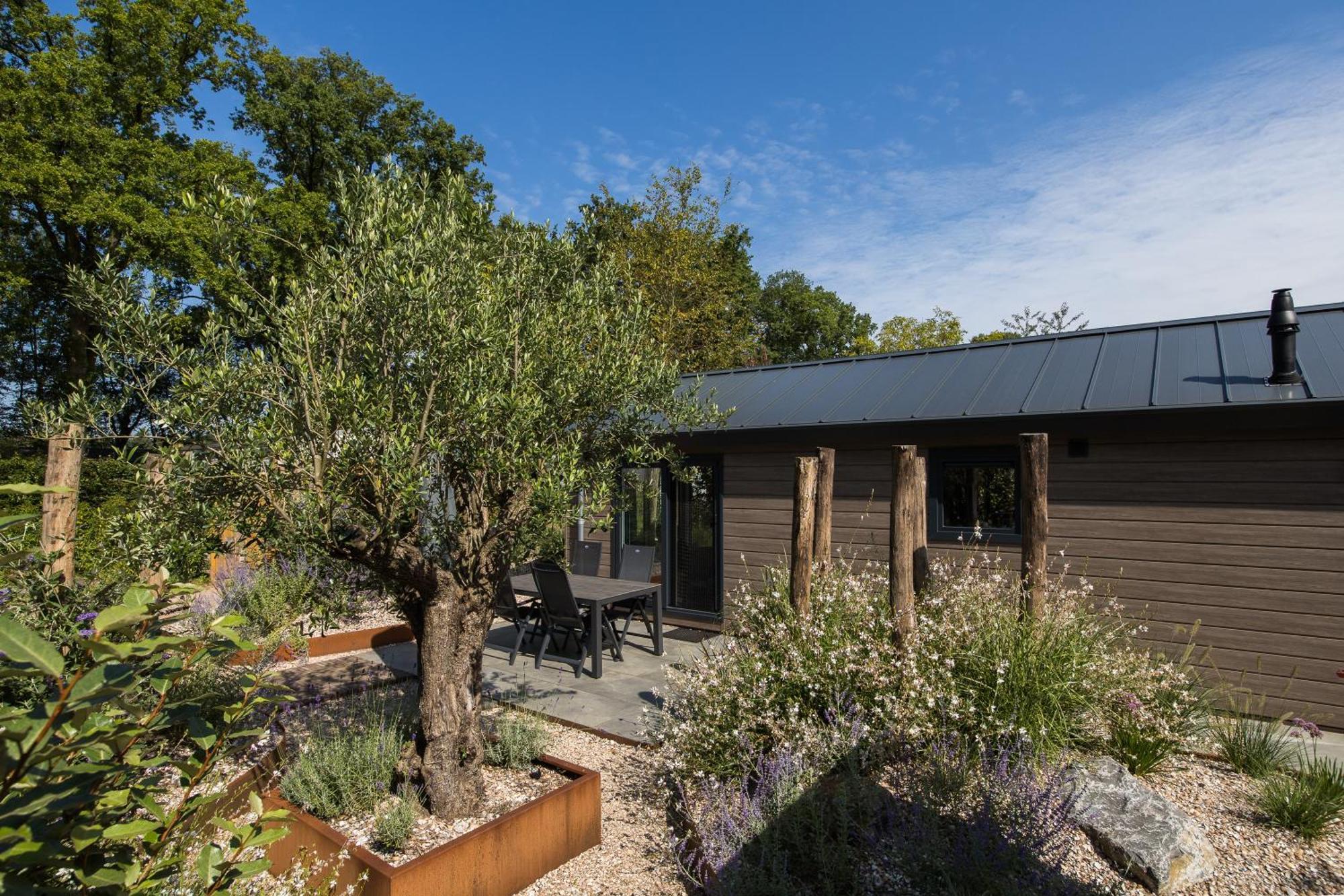 Modern Ingericht Chalet Op Groen Park Op De Veluwe Epe Exterior foto